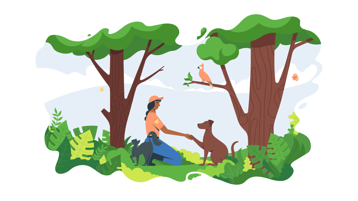 an illustration of a woman kneeling in front of a dog in a park to illustrate the cause of a non-profit
